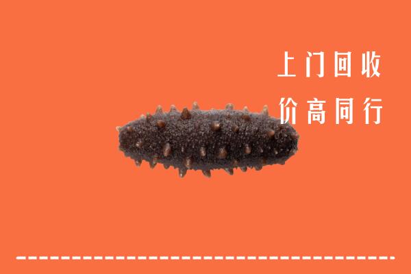 高价求购：毕节市回收海参