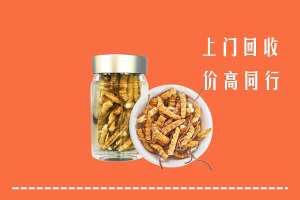 毕节市回收冬虫夏草